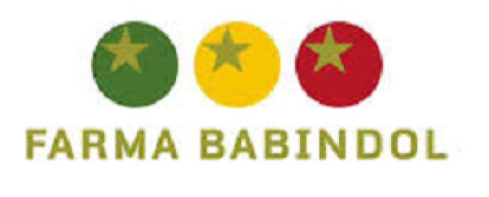 Logo 1